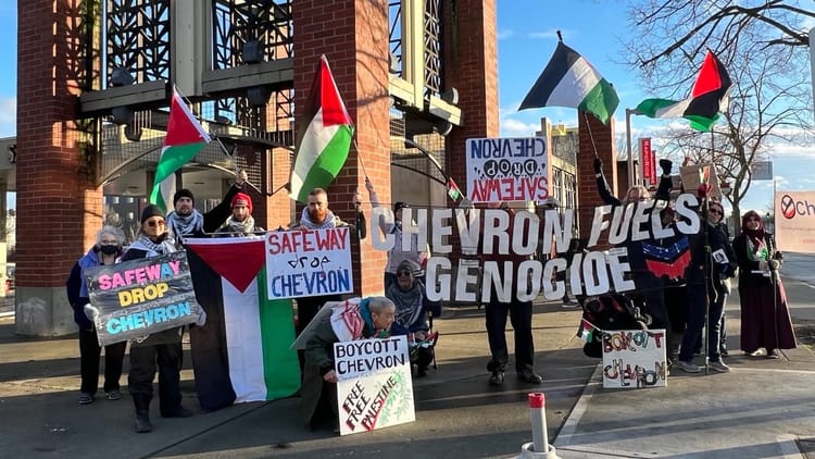 activists picket outside of the Ballard Safeway, holding signs and Palestinian flags