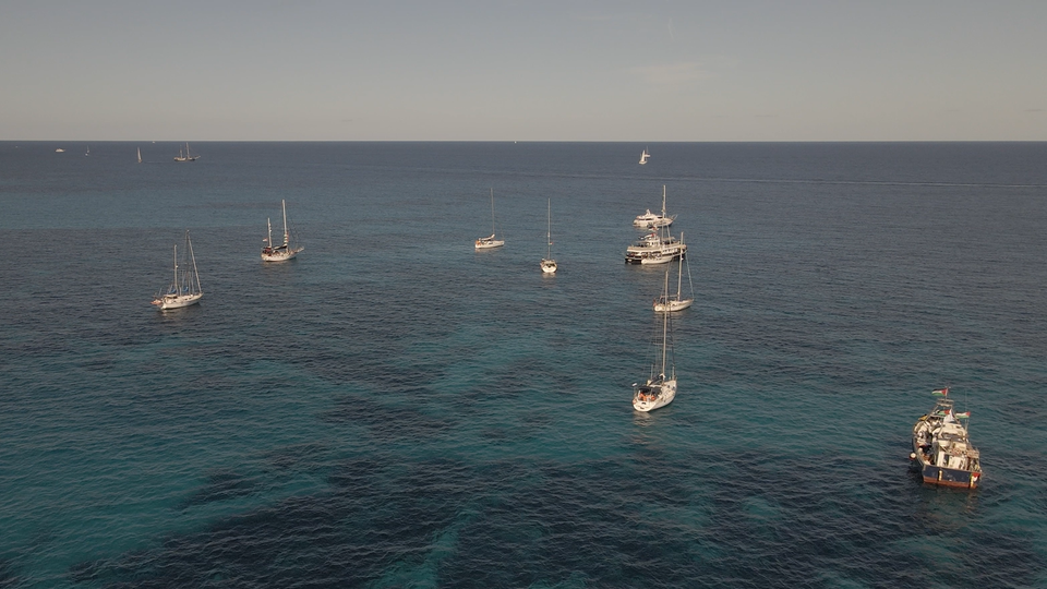 photo shows sailboats on blue sea water